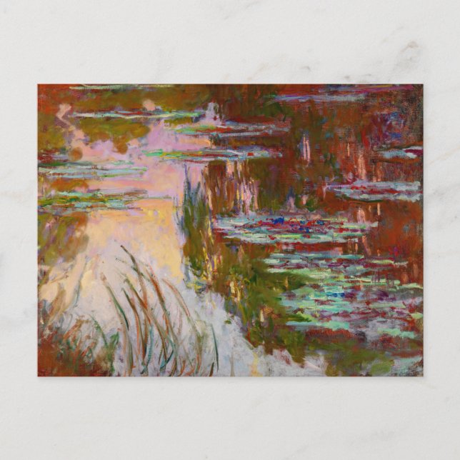 Postal Lilis de agua, Bella Artes de Sun Monet (Anverso)