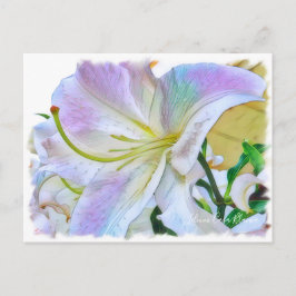 Postal Lilium ‘Casa Blanca’ [Postcard] ポ ス カ ド