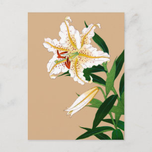 Postal Liliy japonesa vintage. Blanco, verde y beige