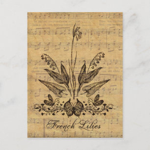Postal Lillies botánico antiguo
