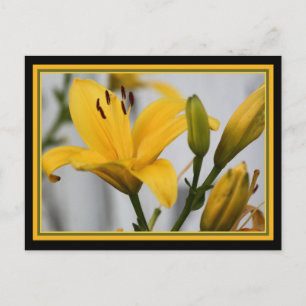Postal Lillies Day