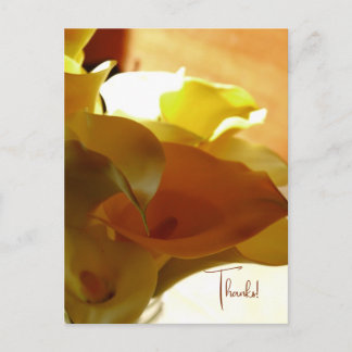 Postal LILLY Postcard