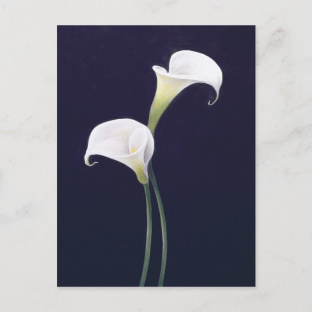 Postal Lily (Anverso)