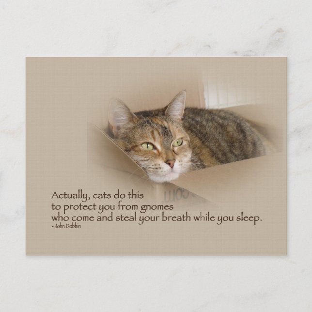 Postal Lily #1 (Anverso)