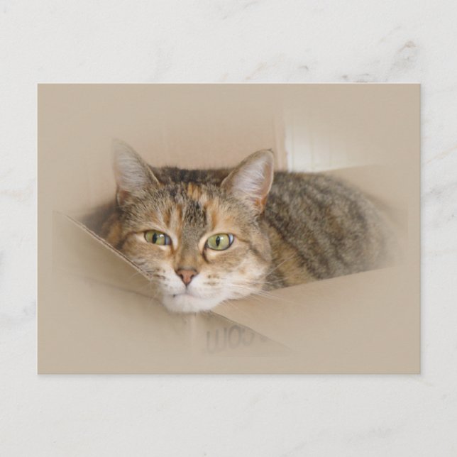 Postal Lily #2 (Anverso)