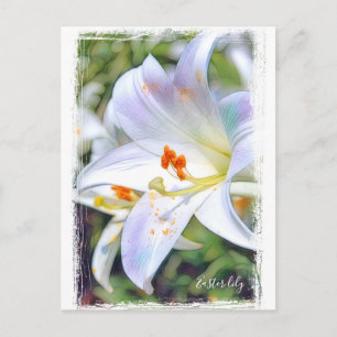 Postal Lily de Semana Santa ポ ス カ ド