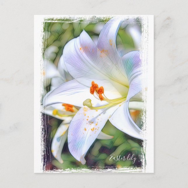 Postal Lily de Semana Santa ポ ス カ ド (Anverso)