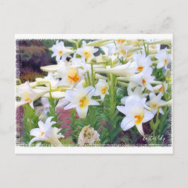 Postal Lily de Semana Santa ポ ス カ ド