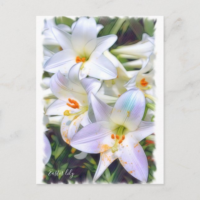 Postal Lily de Semana Santa ポ ス カ ド (Anverso)