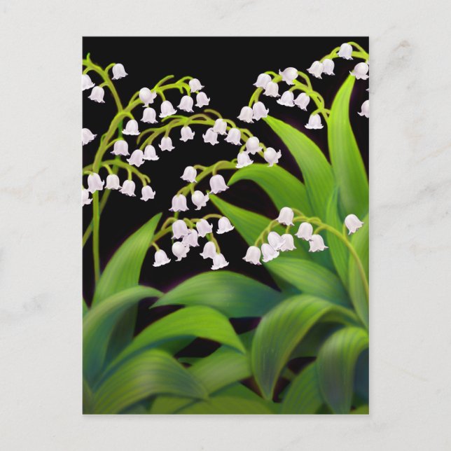 Postal Lily del Valle (Anverso)