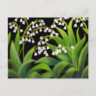 Postal Lily del Valle