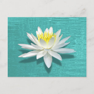 Postal Lily flotante en Aquamarine Ripples Postcard