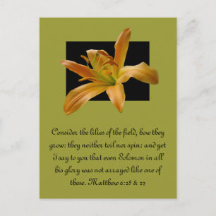 Postal Lily, la Naranja de Larry