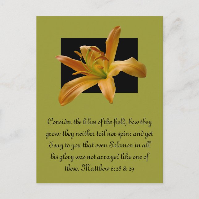 Postal Lily, la Naranja de Larry (Anverso)