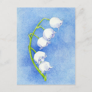 Postal Lily of the Valley Postcard