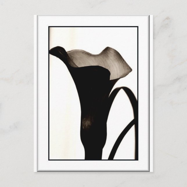 Postal Lily oscura (Anverso)