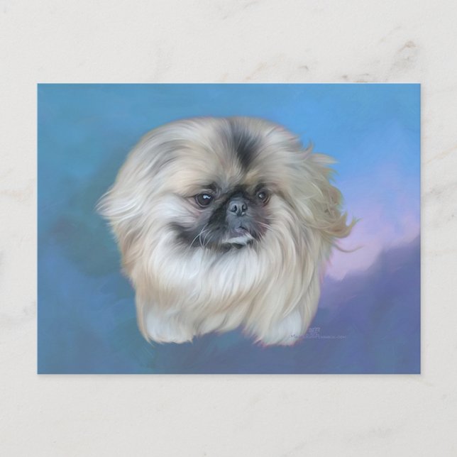 Postal Lily pekingesa con azul (Anverso)
