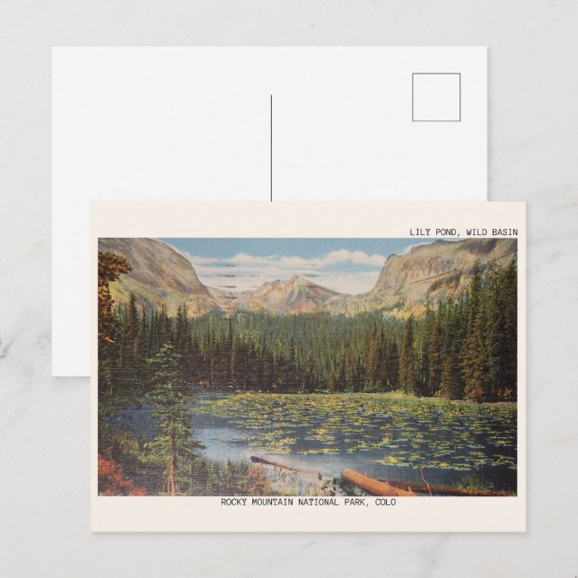 Postal LILY POND WILD BASIN, regalos de vida silvestre CO (Anverso / Reverso)