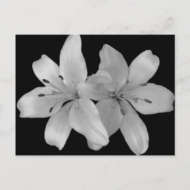 Postal Lilys (Anverso)