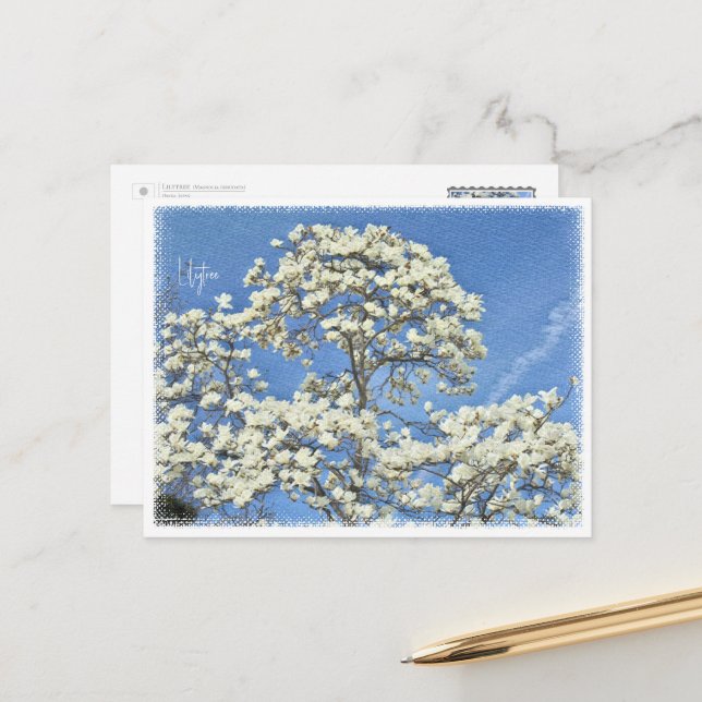 Postal Lilytree (Anverso/Reverso In Situ)