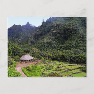 Postal Limahuli Garden Taro Fields, Kauai