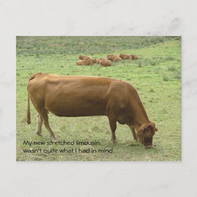 Postal limo estirada (Anverso)