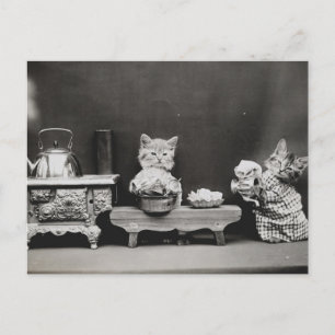 Postal Limpiando la tetera