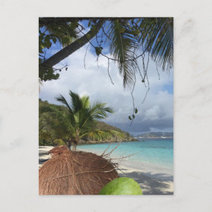 Postal Limpieza y coco, playa tropical