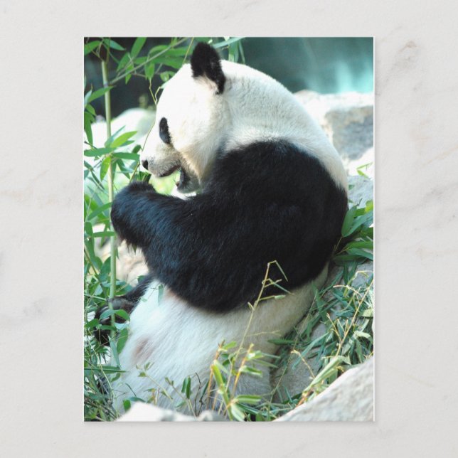 Postal Lin Hui (Anverso)