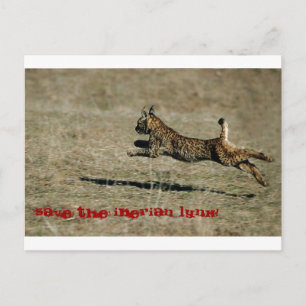 Postal LINCE IBÉRICO, ¡Salven el lince ibérico!