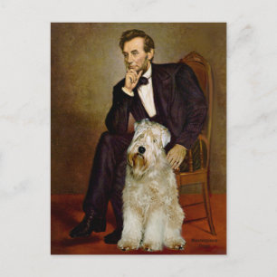 Postal Lincoln - Wheaten Terrier 7