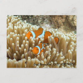 Postal linda de los pescados del payaso