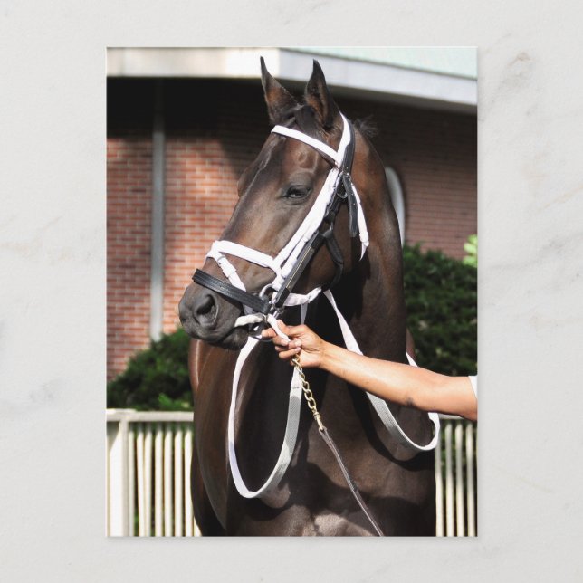 Postal Linda Mimi de Congrats (Anverso)