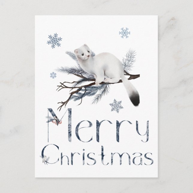 Postal Lindo Animal Comadreja Blanca En Un Pino (Anverso)