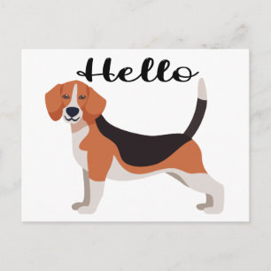 Postal Lindo Beagle Hola Perro Divertido Pensando en Ti