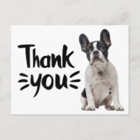 Lindo Bulldog Francés Gracias Frenchie Cachorro Pe