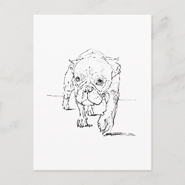 Postal Lindo Bulldog Francés, Ilustración de Perro (Anverso)