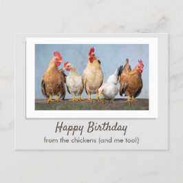 Postal Lindo Cumpleaños Gris De Las Gallinas