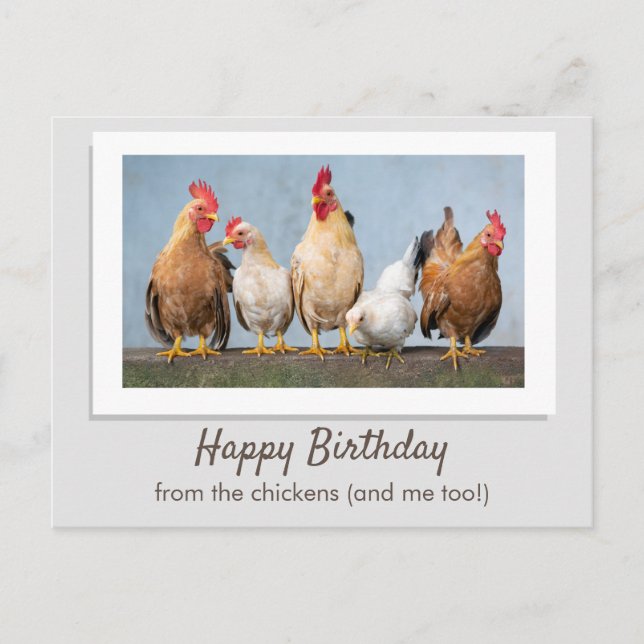 Postal Lindo Cumpleaños Gris de Las Gallinas (Anverso)