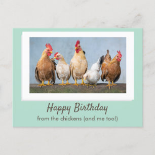 Postal Lindo Cumpleaños Verde Feliz De Las Gallinas