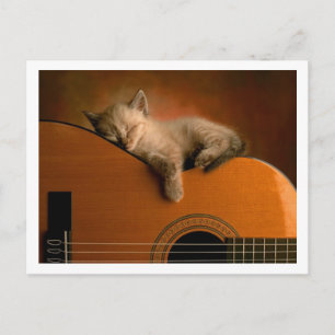 Postal lindo gatito