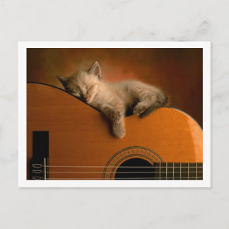 Postal lindo gatito