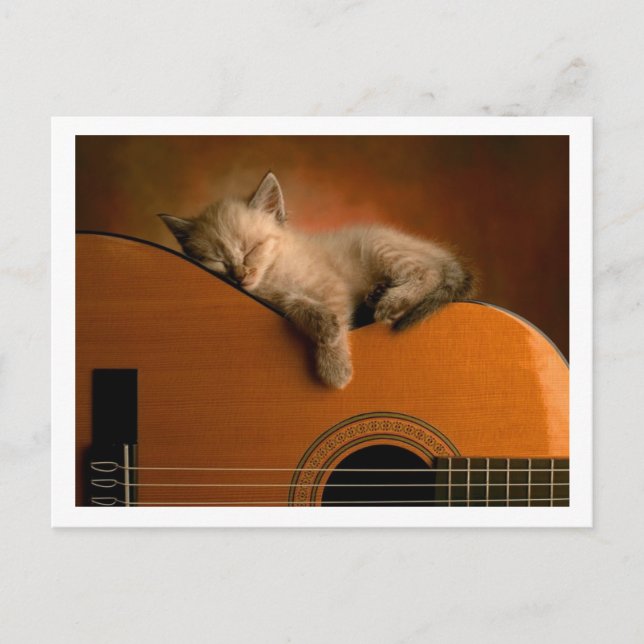 Postal lindo gatito (Anverso)