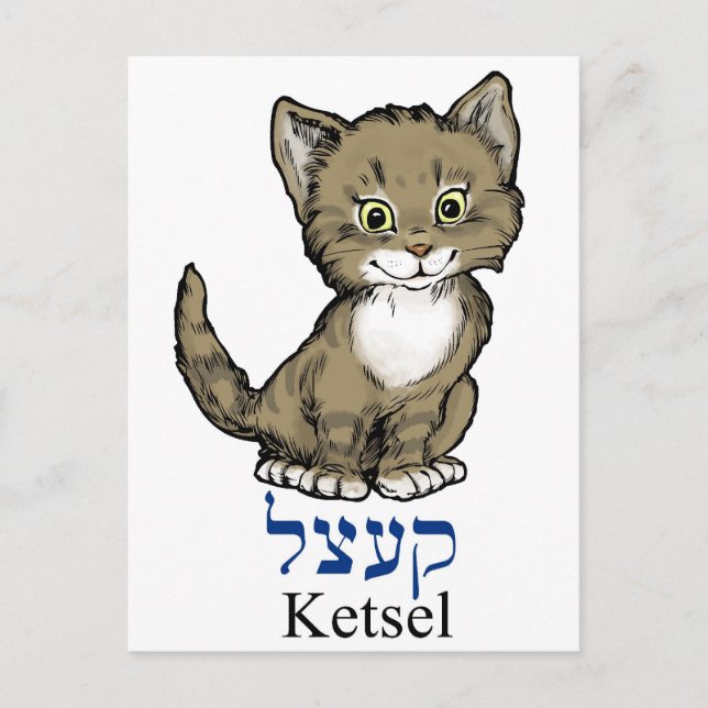 Postal lindo gatito-"ketsel" en yiddish (Anverso)