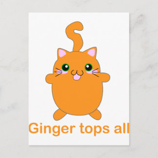 Postal lindo ginger cat