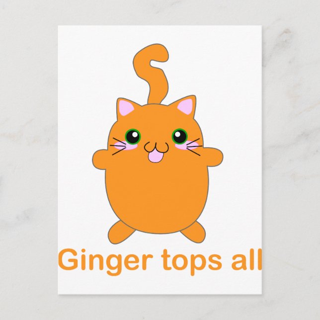 Postal lindo ginger cat (Anverso)