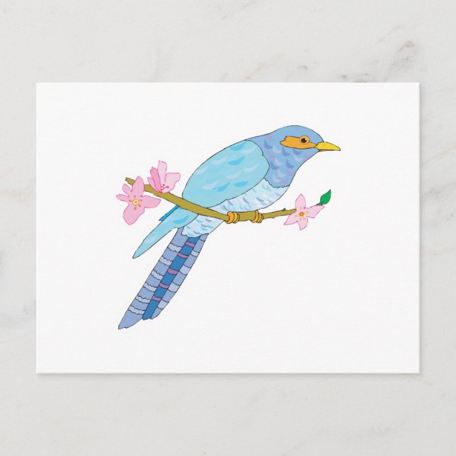 Postal lindo pájaro cuco y flores (Anverso)