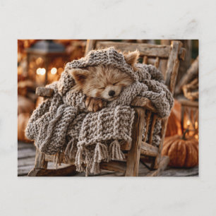 Postal Lindo Panda Rojo Durmiendo en Silla Balanza Miniat
