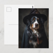 Lindo perro de montaña de Berna bruja