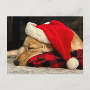 Postal Lindo perro Golden Retriever durmiendo en Navidad